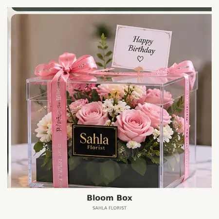 Bloom Box Mapanget